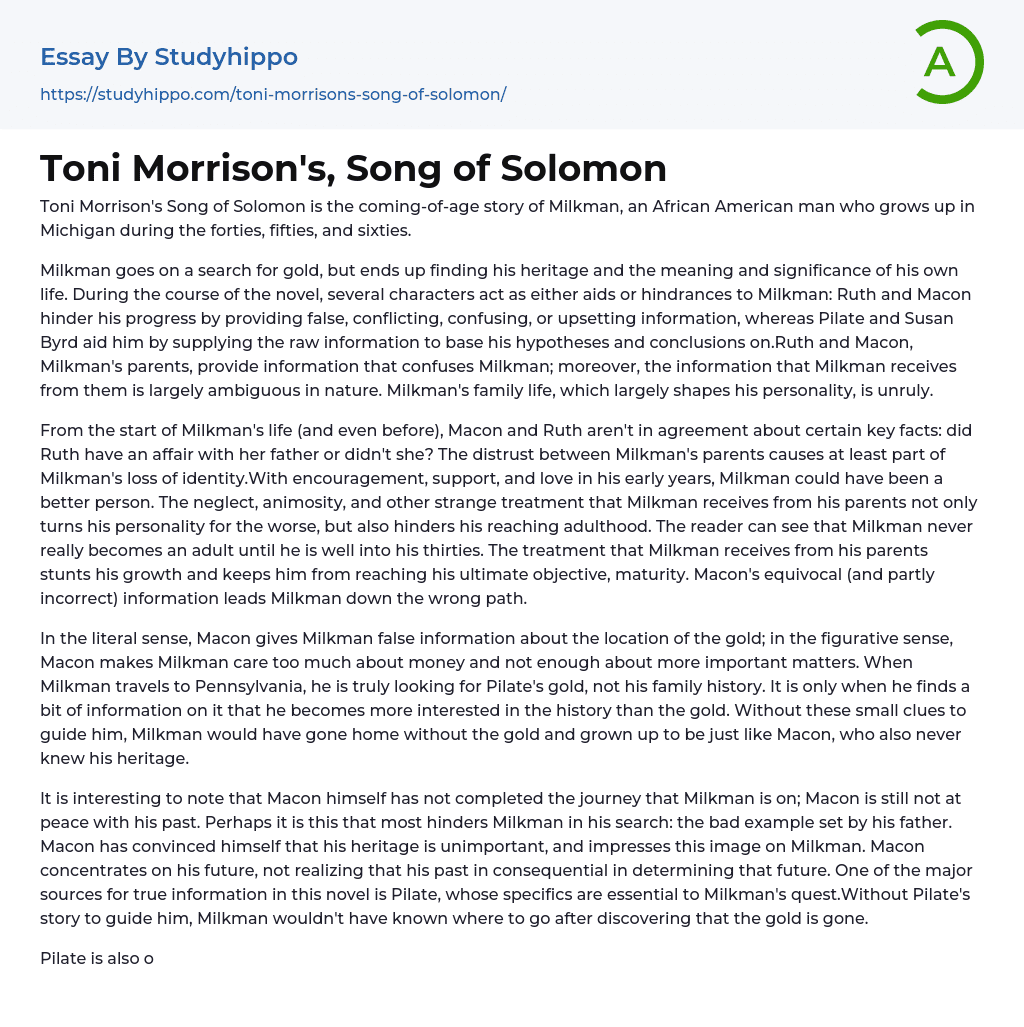 Toni Morrison’s, Song of Solomon Essay Example