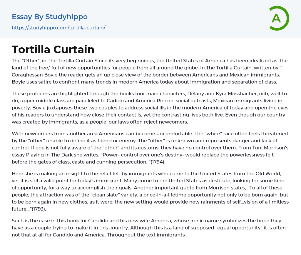Tortilla Curtain Essay Example