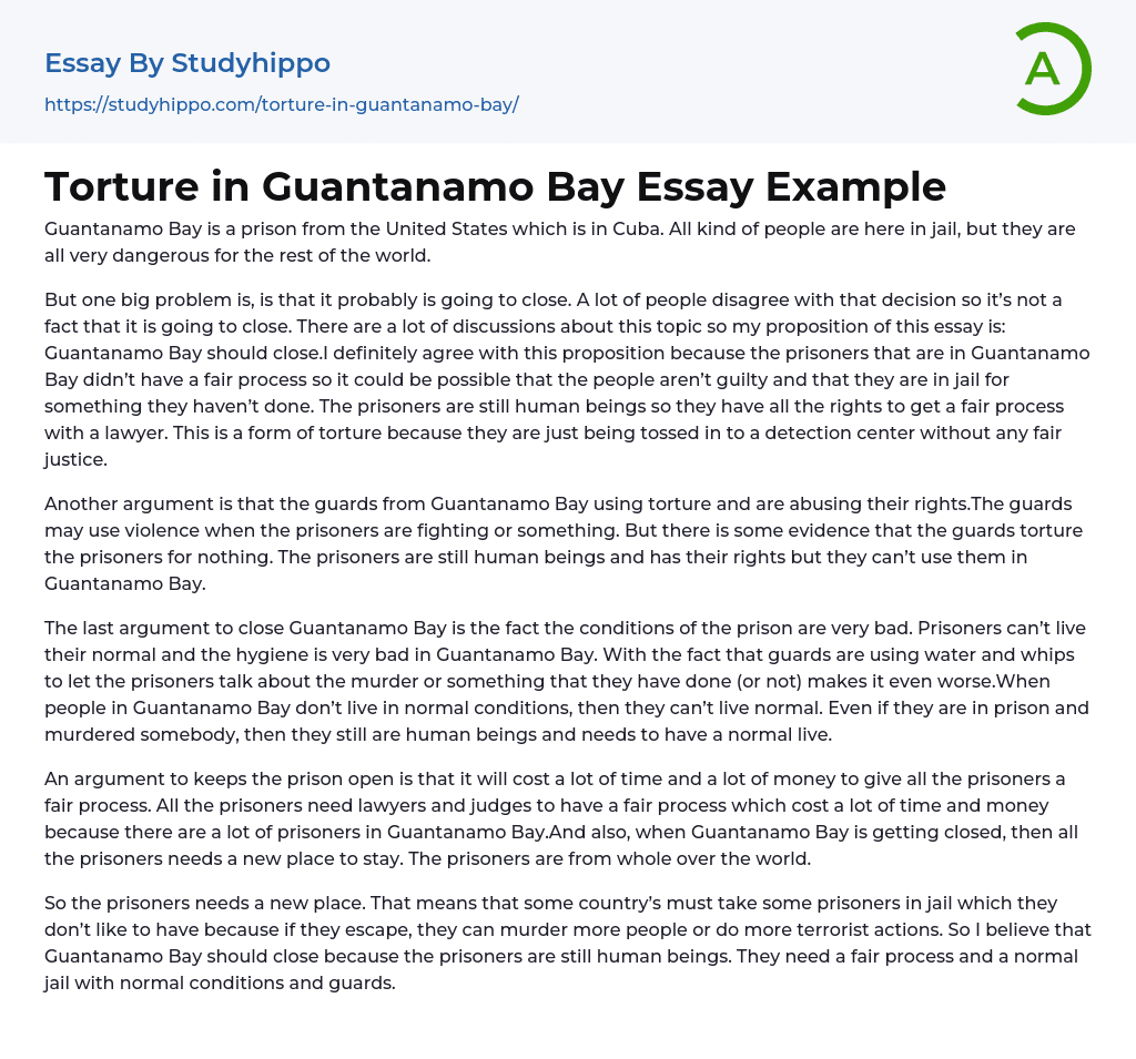 Torture in Guantanamo Bay Essay Example