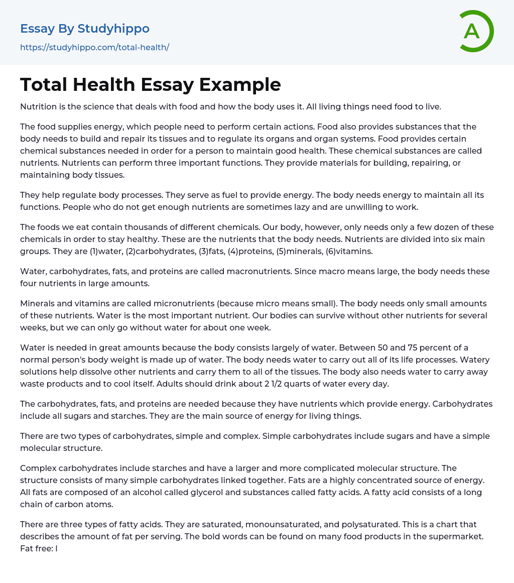 Total Health Essay Example