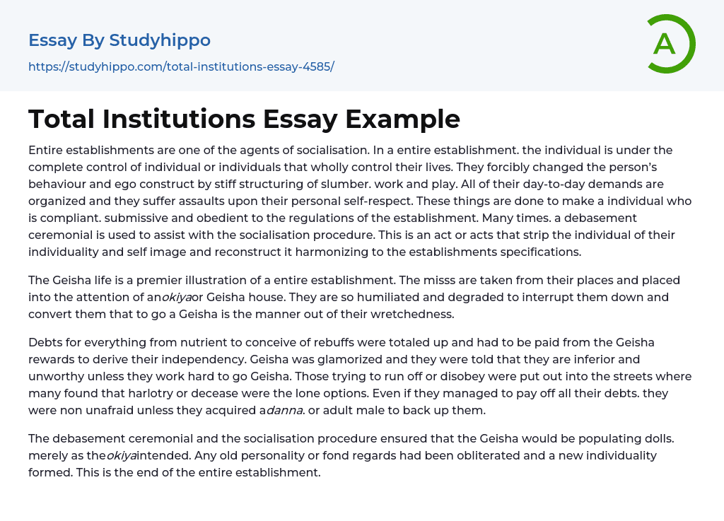Total Institutions Essay Example