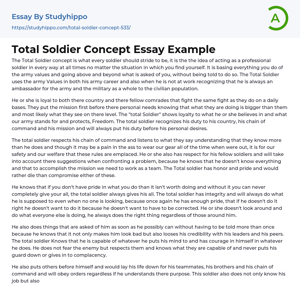 Total Soldier Concept Essay Example