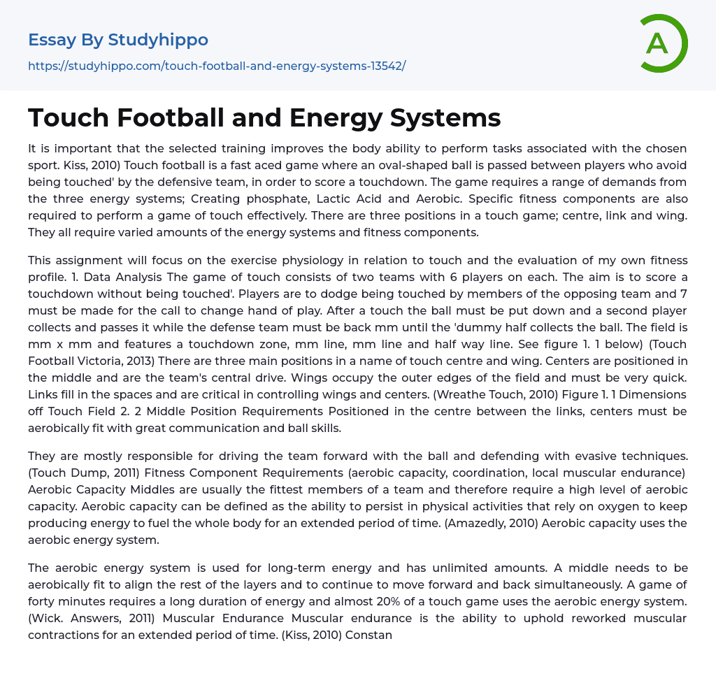 Touch Football and Energy Systems Essay Example