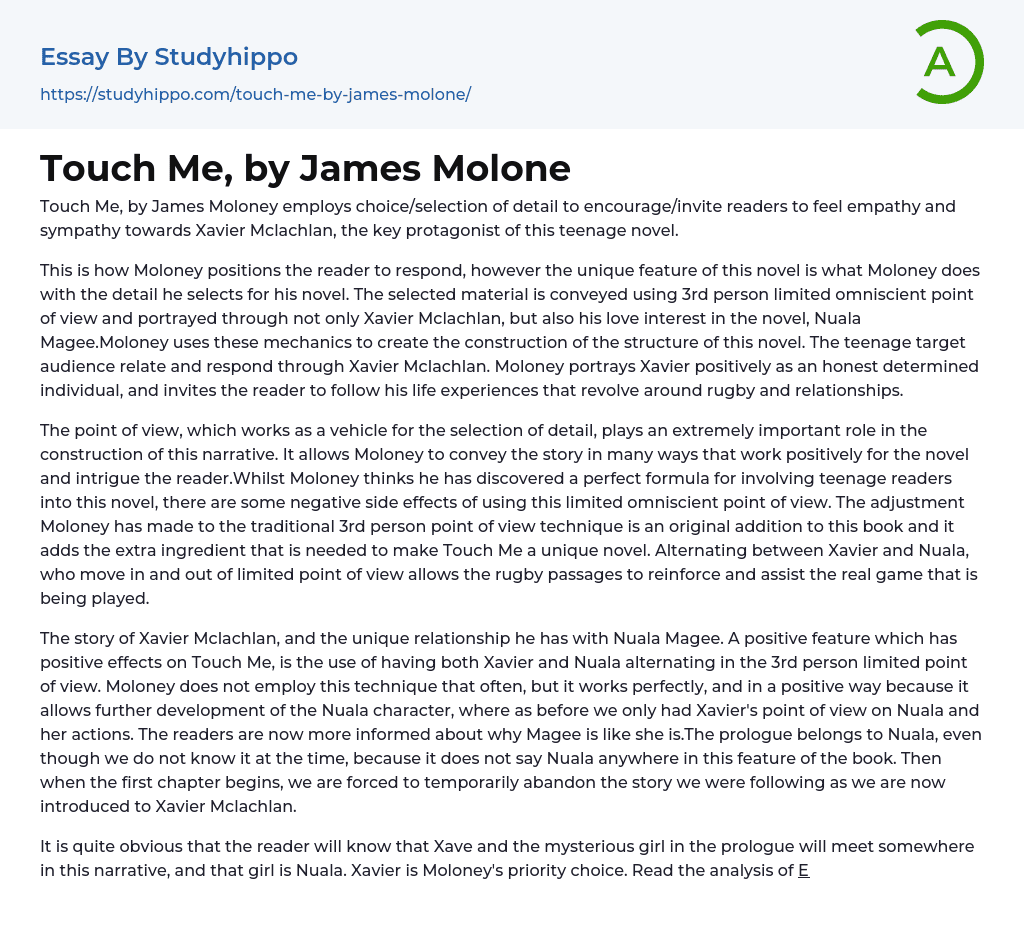 Touch Me, by James Molone Essay Example