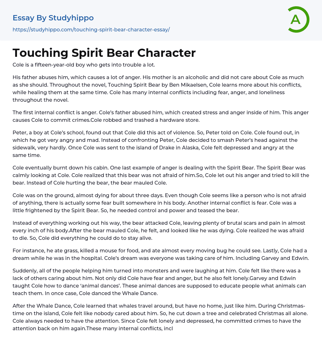Touching Spirit Bear Character Essay Example