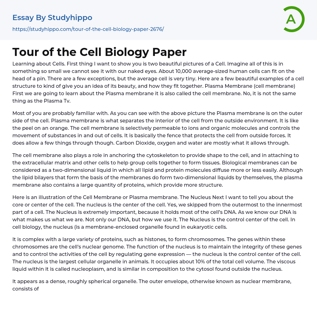 Tour of the Cell Biology Paper Essay Example
