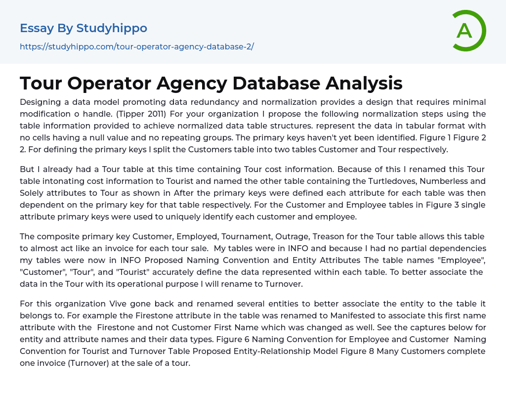 Tour Operator Agency Database Analysis Essay Example