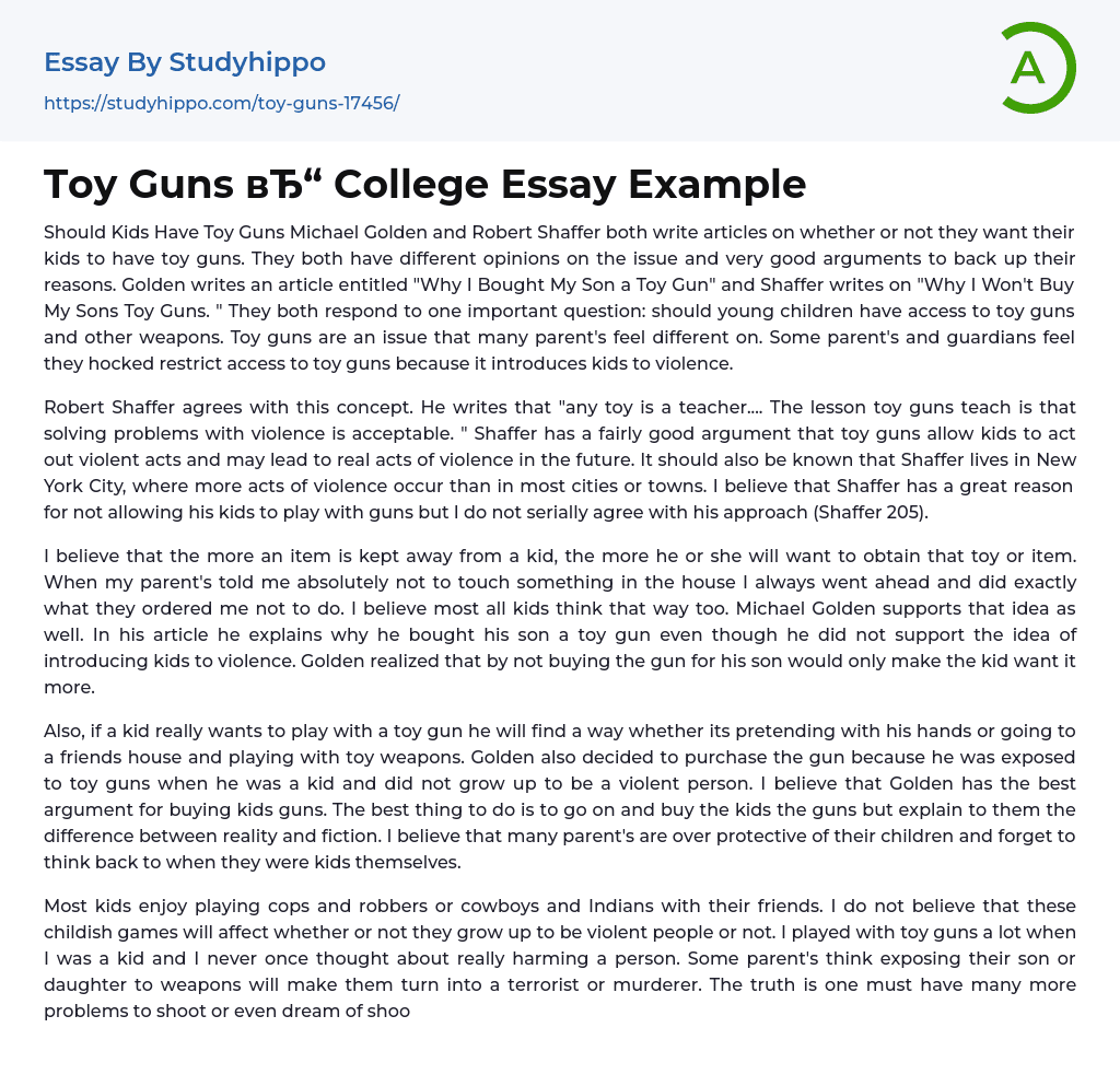 Toy Guns College Essay Example