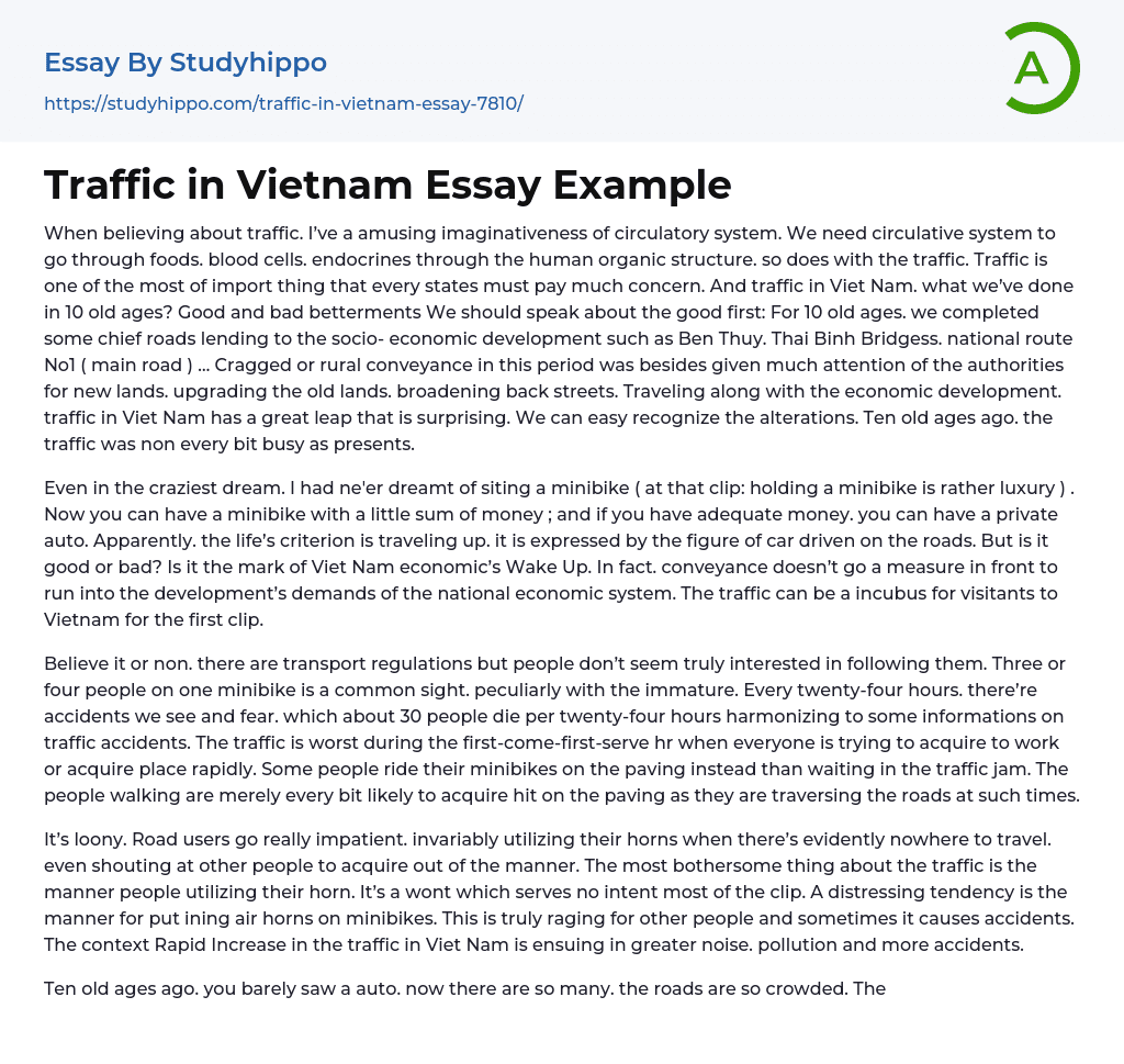 Traffic in Vietnam Essay Example