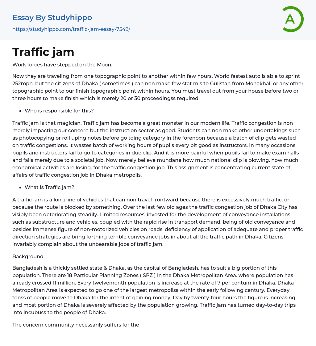 Traffic jam Essay Example