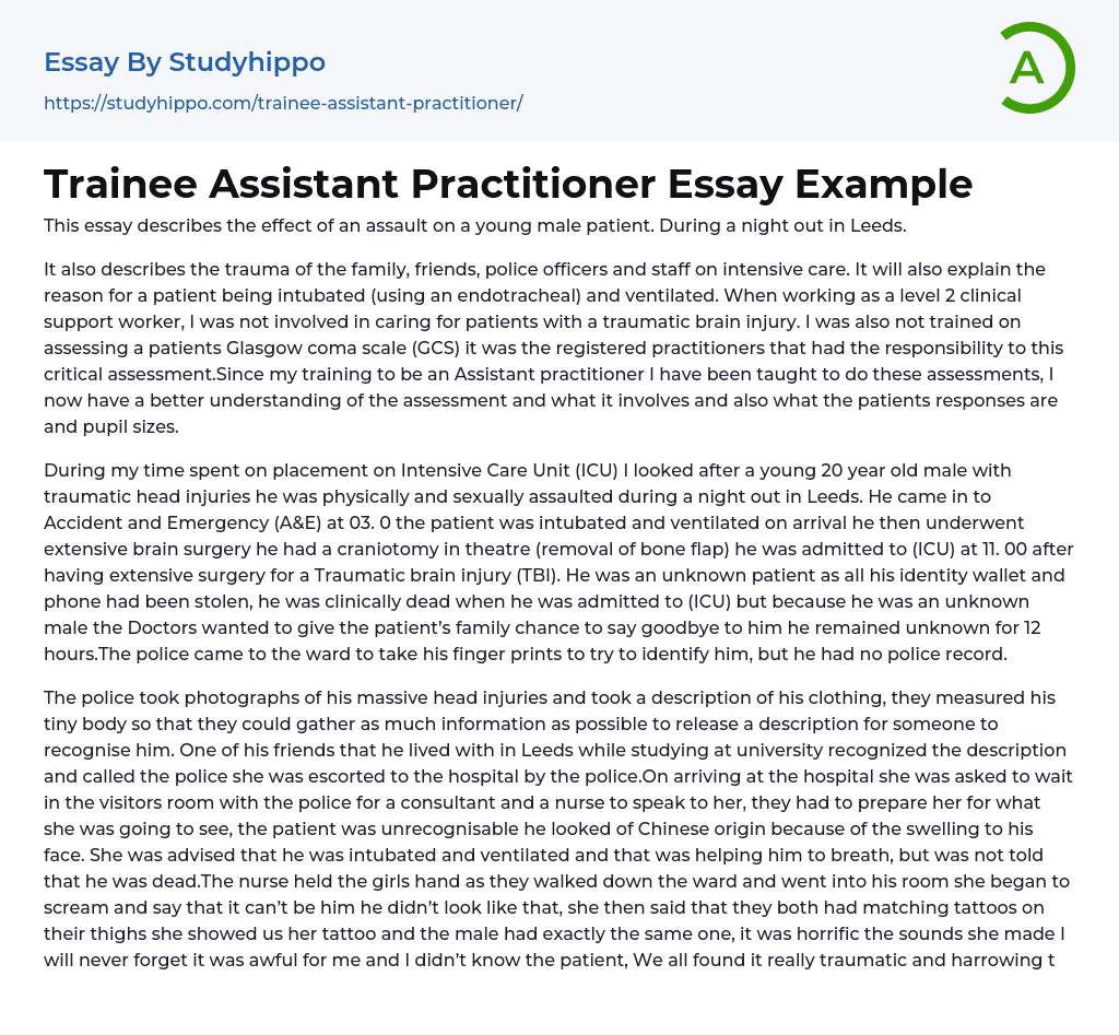 Trainee Assistant Practitioner Essay Example