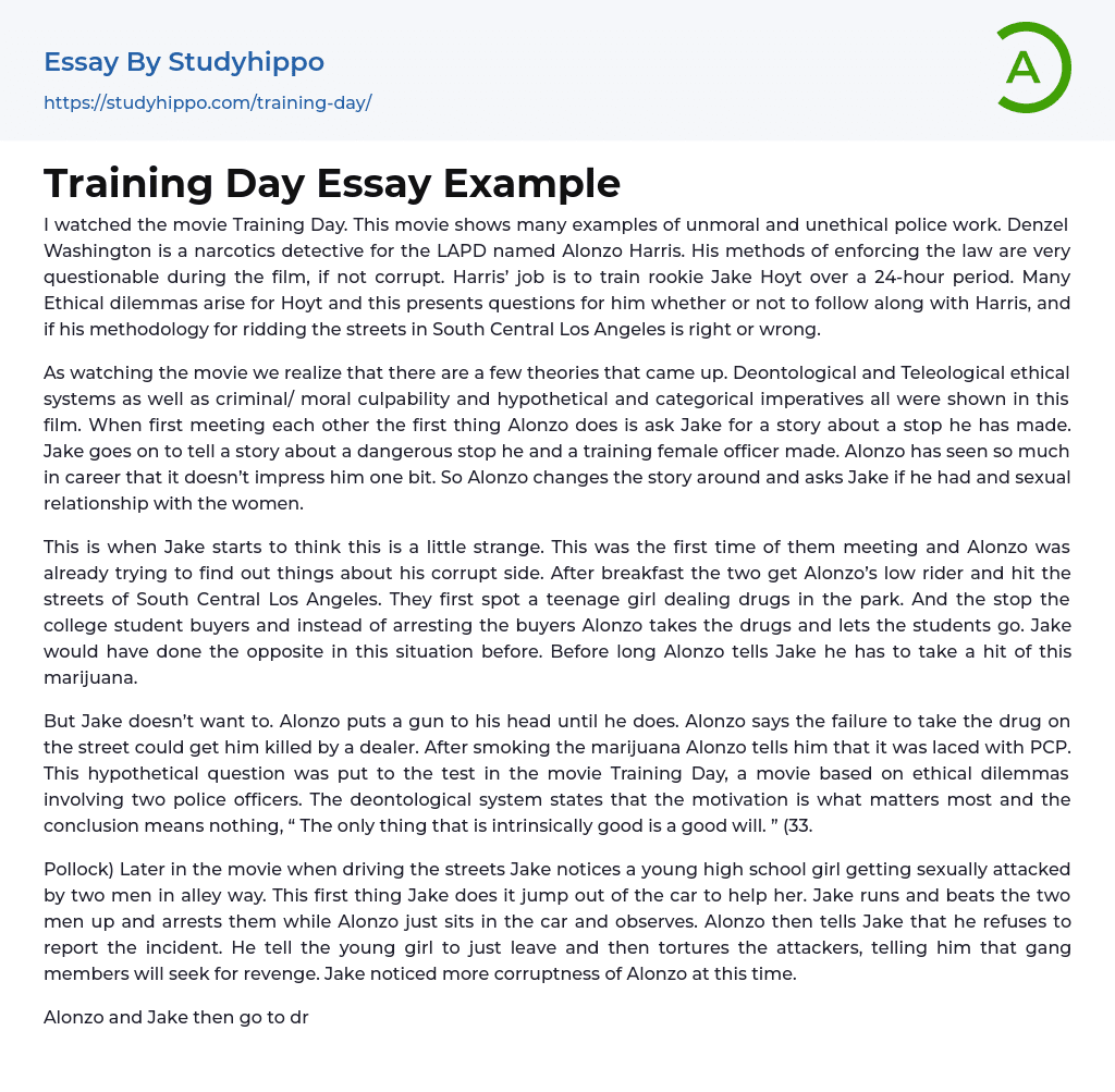 Training Day Essay Example