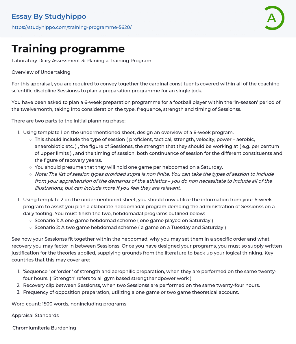 Training programme Essay Example