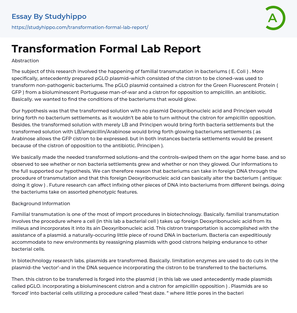 Transformation Formal Lab Report Essay Example