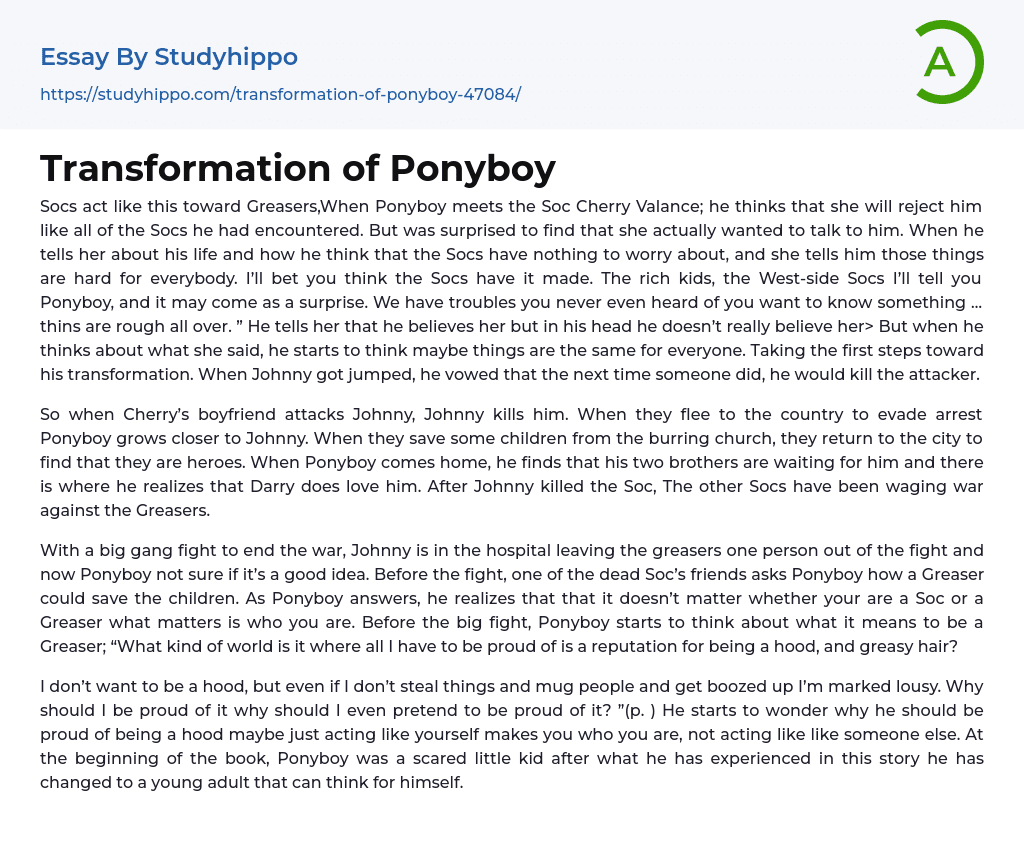 Transformation of Ponyboy Essay Example
