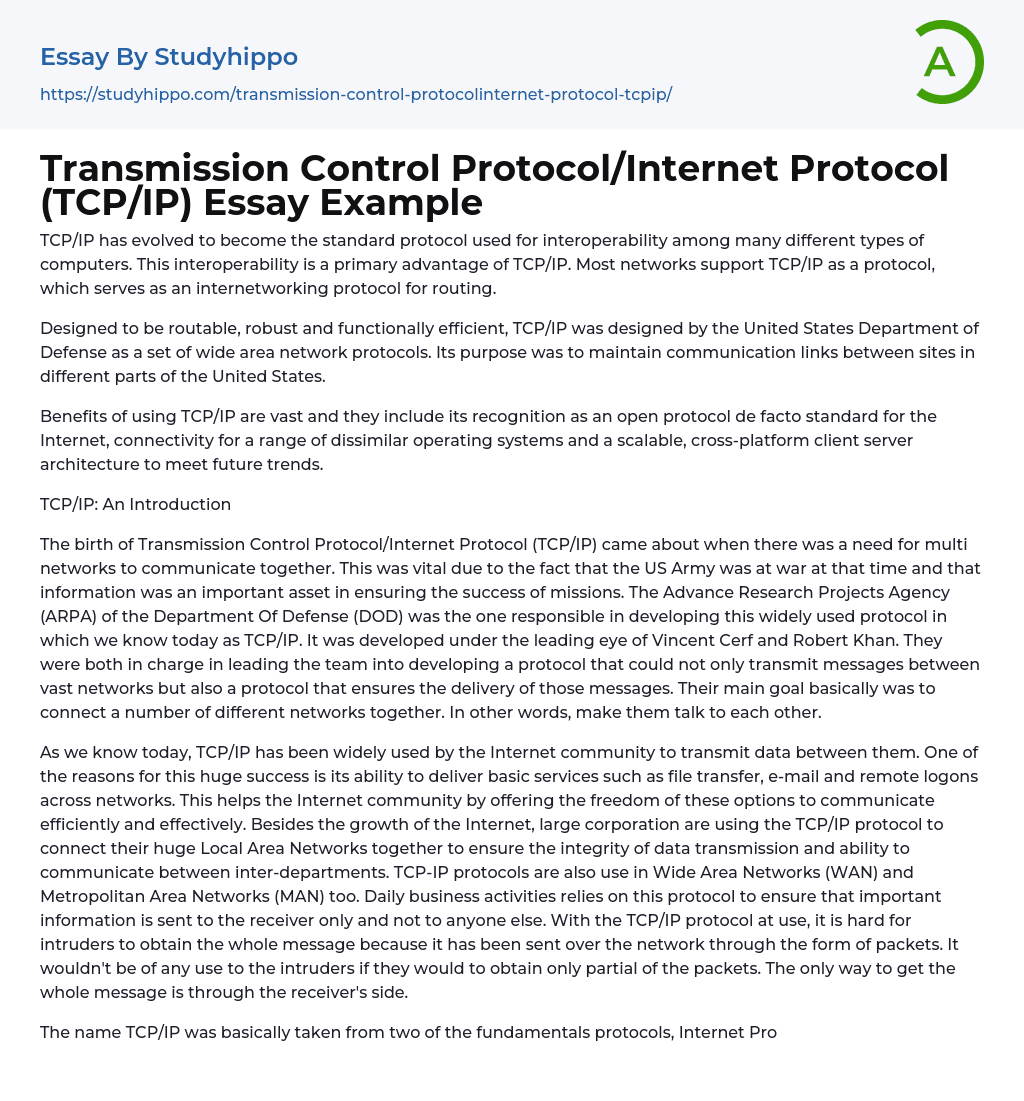 Transmission Control Protocol/Internet Protocol (TCP/IP) Essay Example