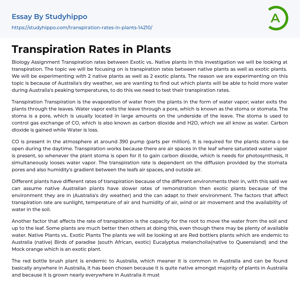 Transpiration Rates in Plants Essay Example