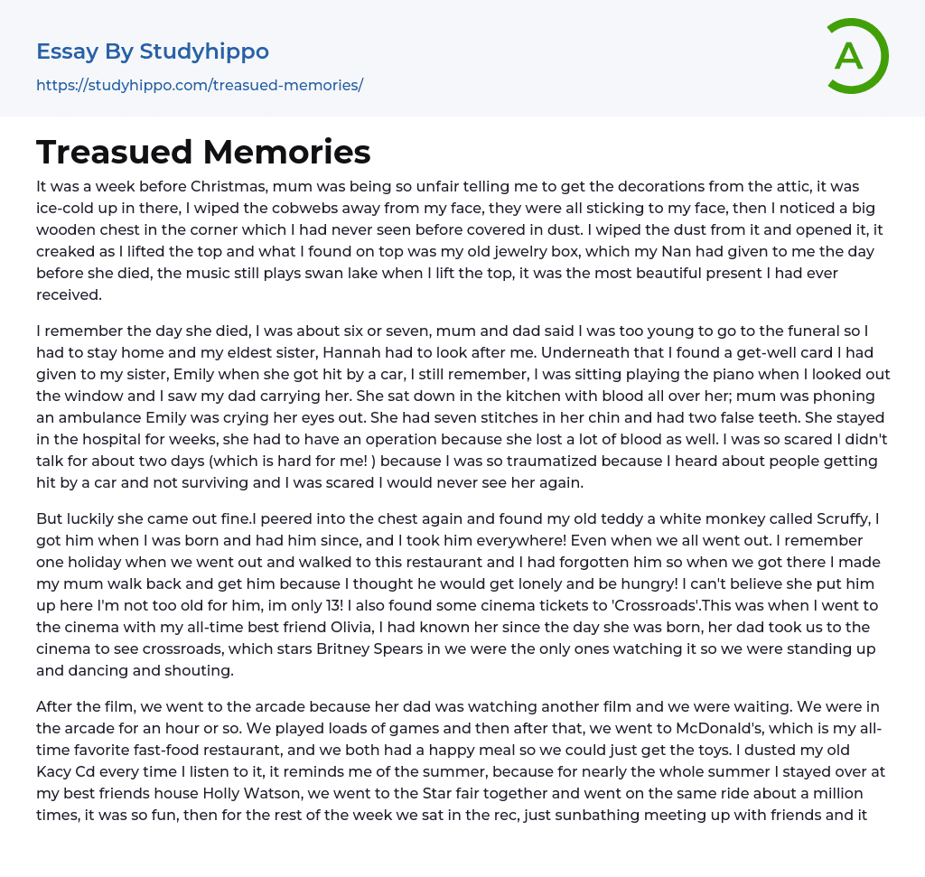 Treasued Memories Essay Example