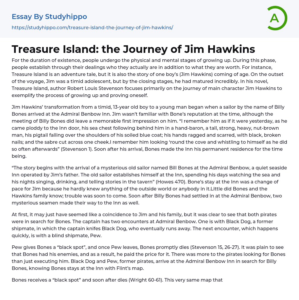 Treasure Island: the Journey of Jim Hawkins Essay Example