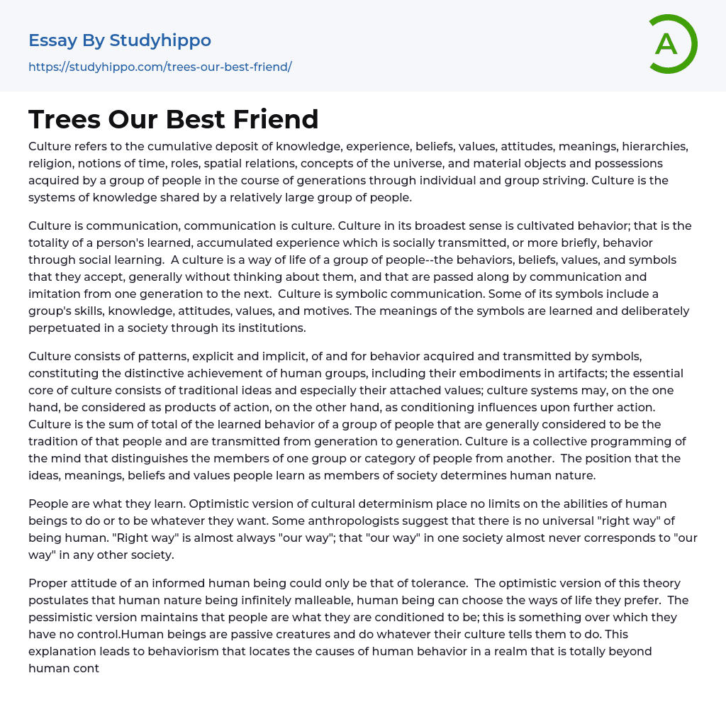 Trees Our Best Friend Essay Example