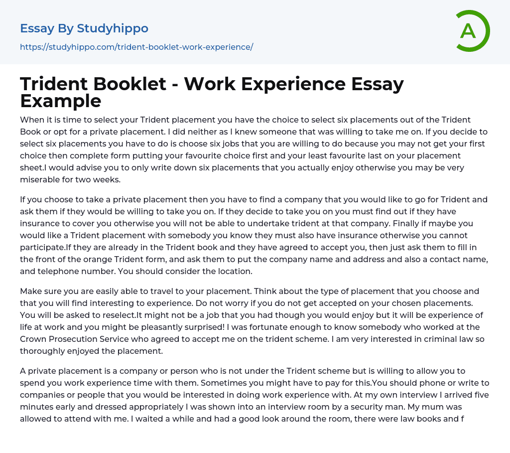 Trident Booklet – Work Experience Essay Example