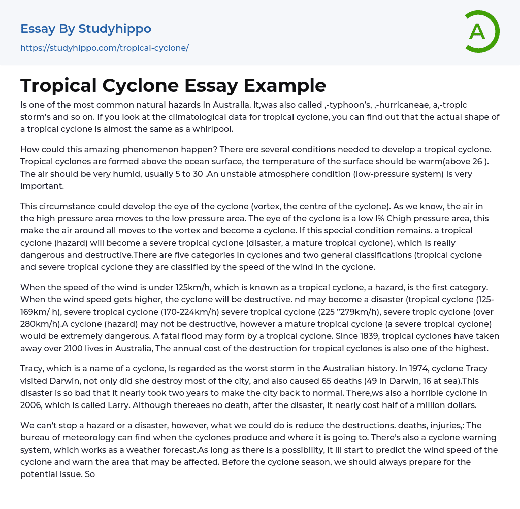 Tropical Cyclone Essay Example