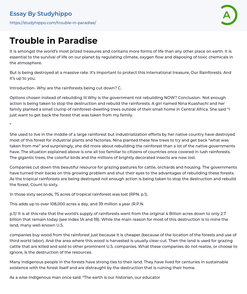 Trouble in Paradise Essay Example