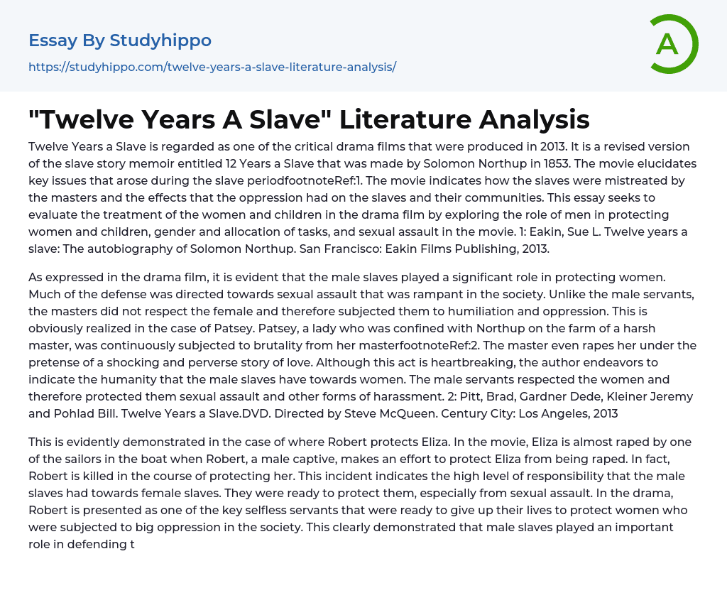 “Twelve Years A Slave” Literature Analysis Essay Example