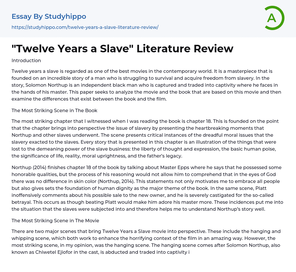 “Twelve Years a Slave” Literature Review Essay Example