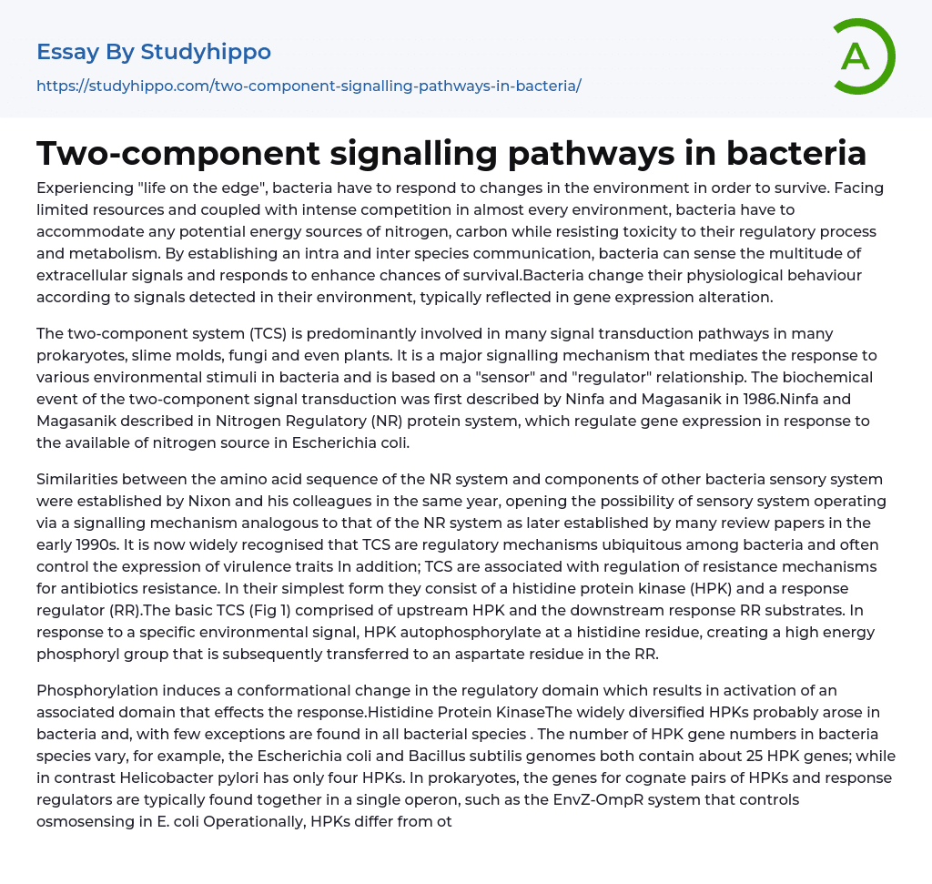 Two-component signalling pathways in bacteria Essay Example