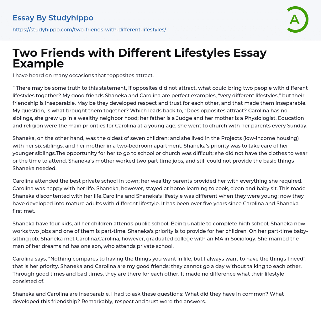 Two Friends with Different Lifestyles Essay Example