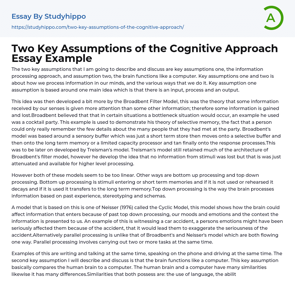 Two Key Assumptions of the Cognitive Approach Essay Example