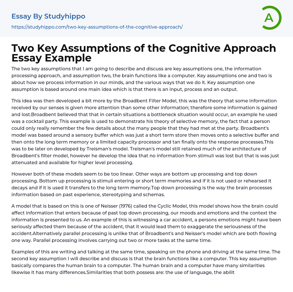 Two Key Assumptions Of The Cognitive Approach Essay Example 