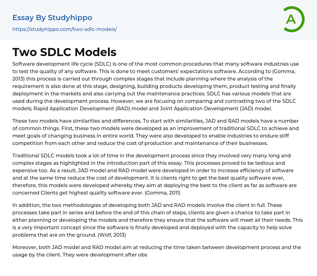 Two SDLC Models Essay Example