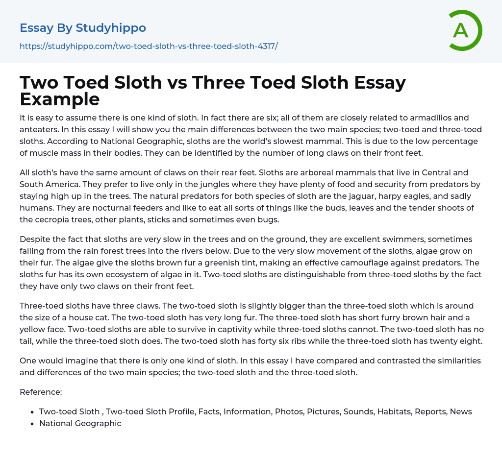Two Toed Sloth vs Three Toed Sloth Essay Example