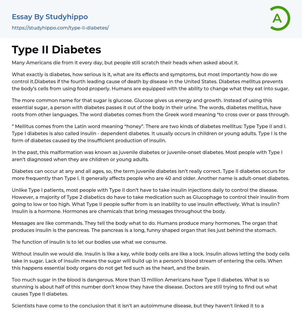 an essay about type 2 diabetes