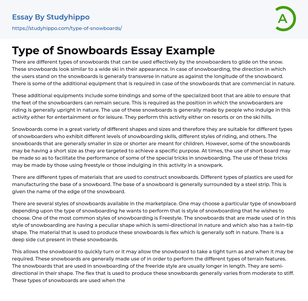Type of Snowboards Essay Example