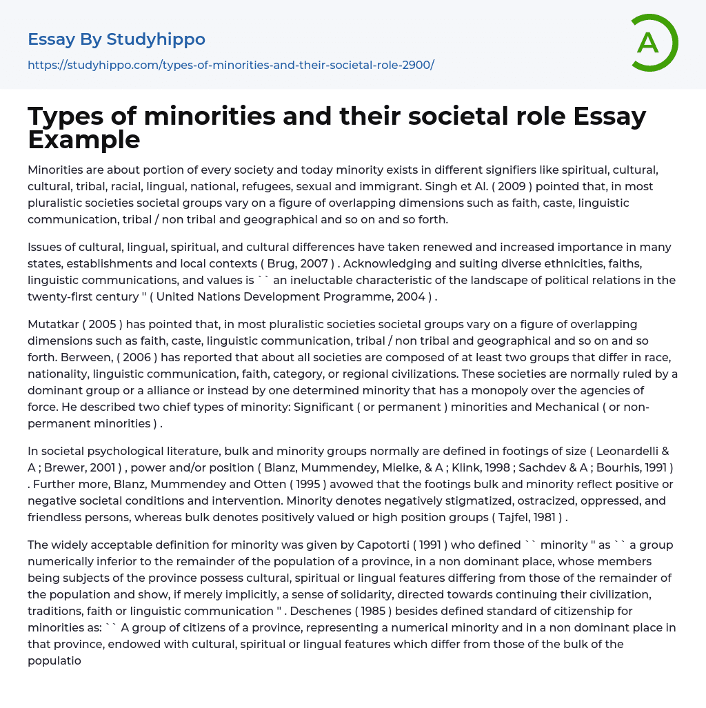 Types of minorities and their societal role Essay Example