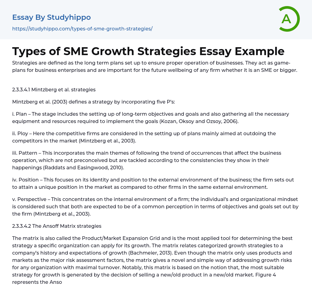 Types of SME Growth Strategies Essay Example