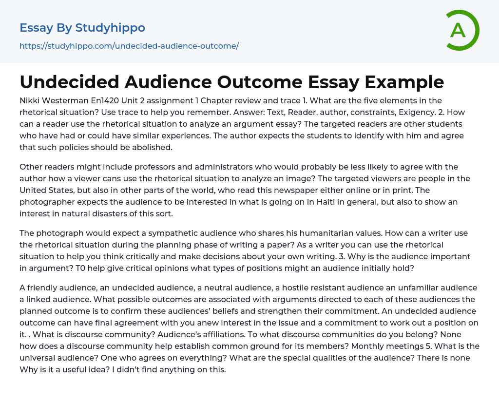 Undecided Audience Outcome Essay Example