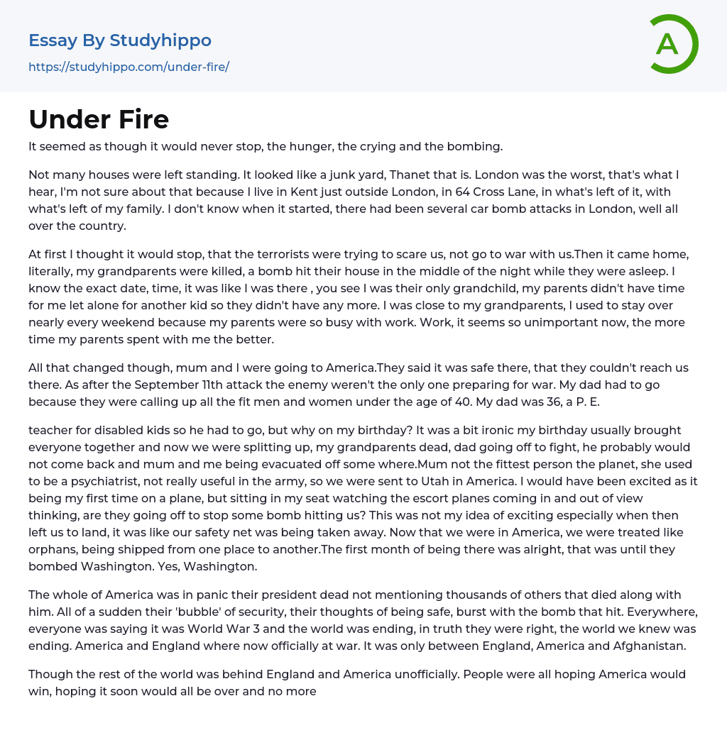 Under Fire Essay Example