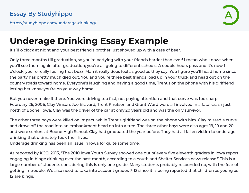 Underage Drinking Essay Example