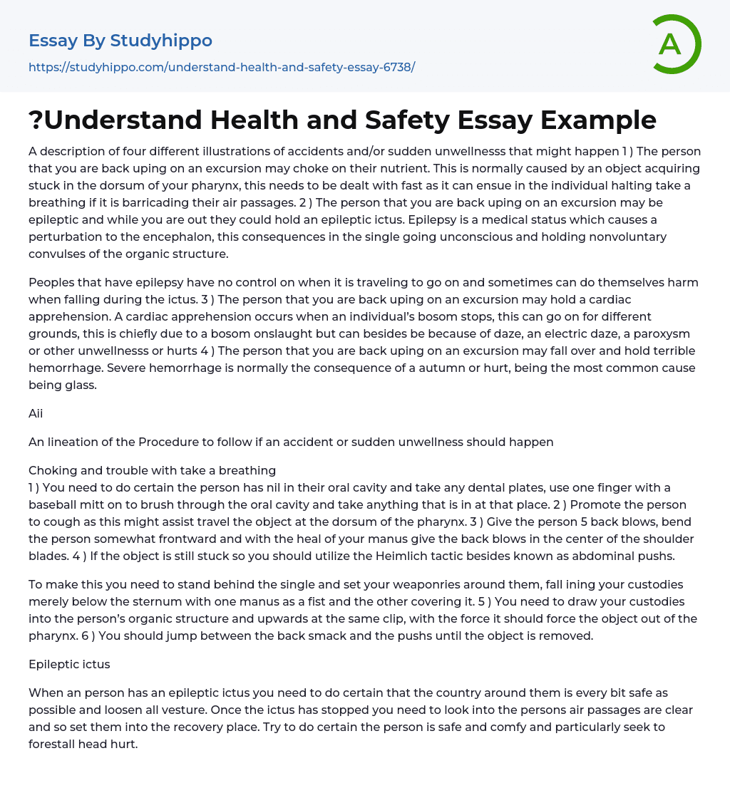 ?Understand Health and Safety Essay Example