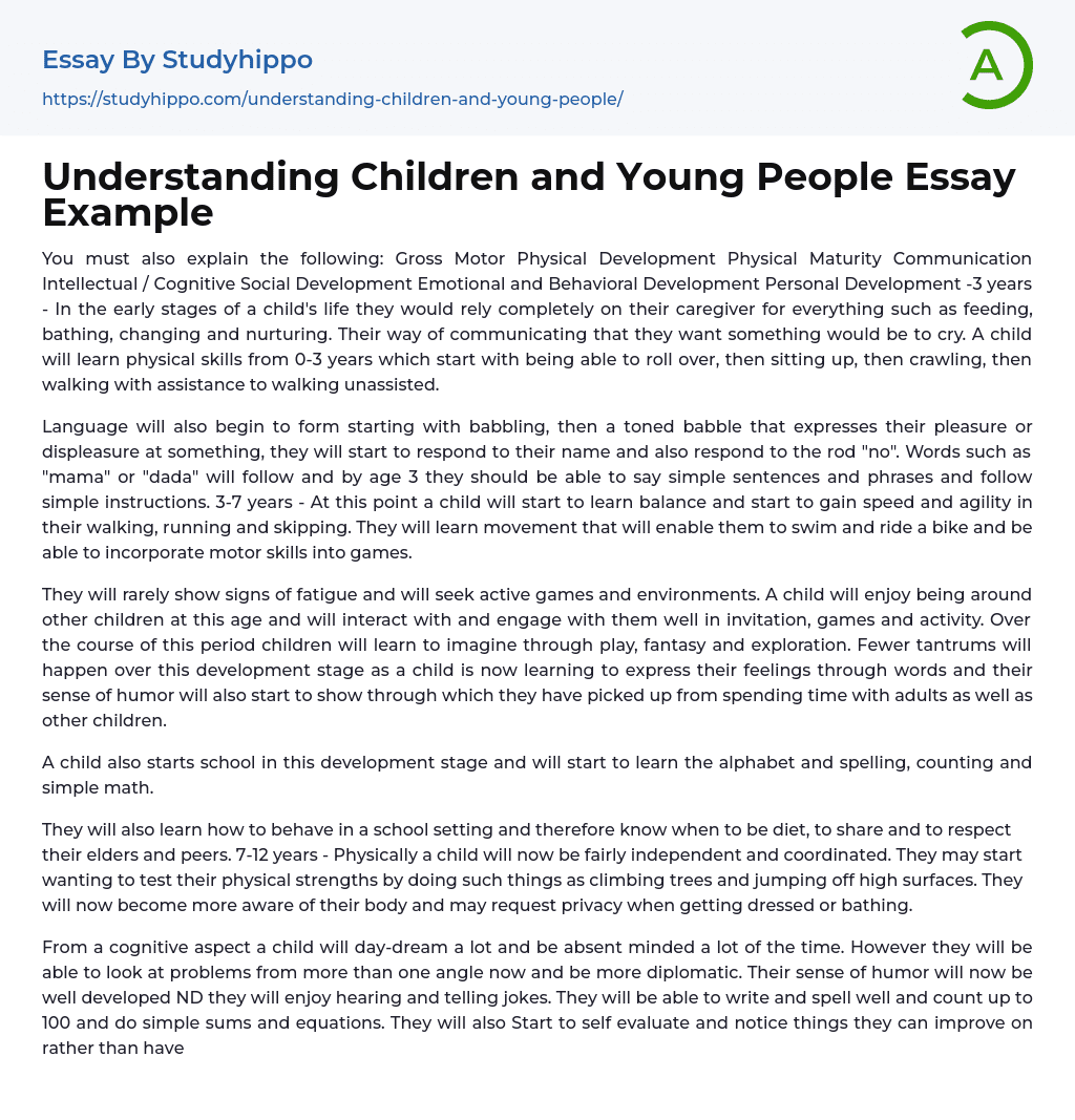 Understanding Children and Young People Essay Example