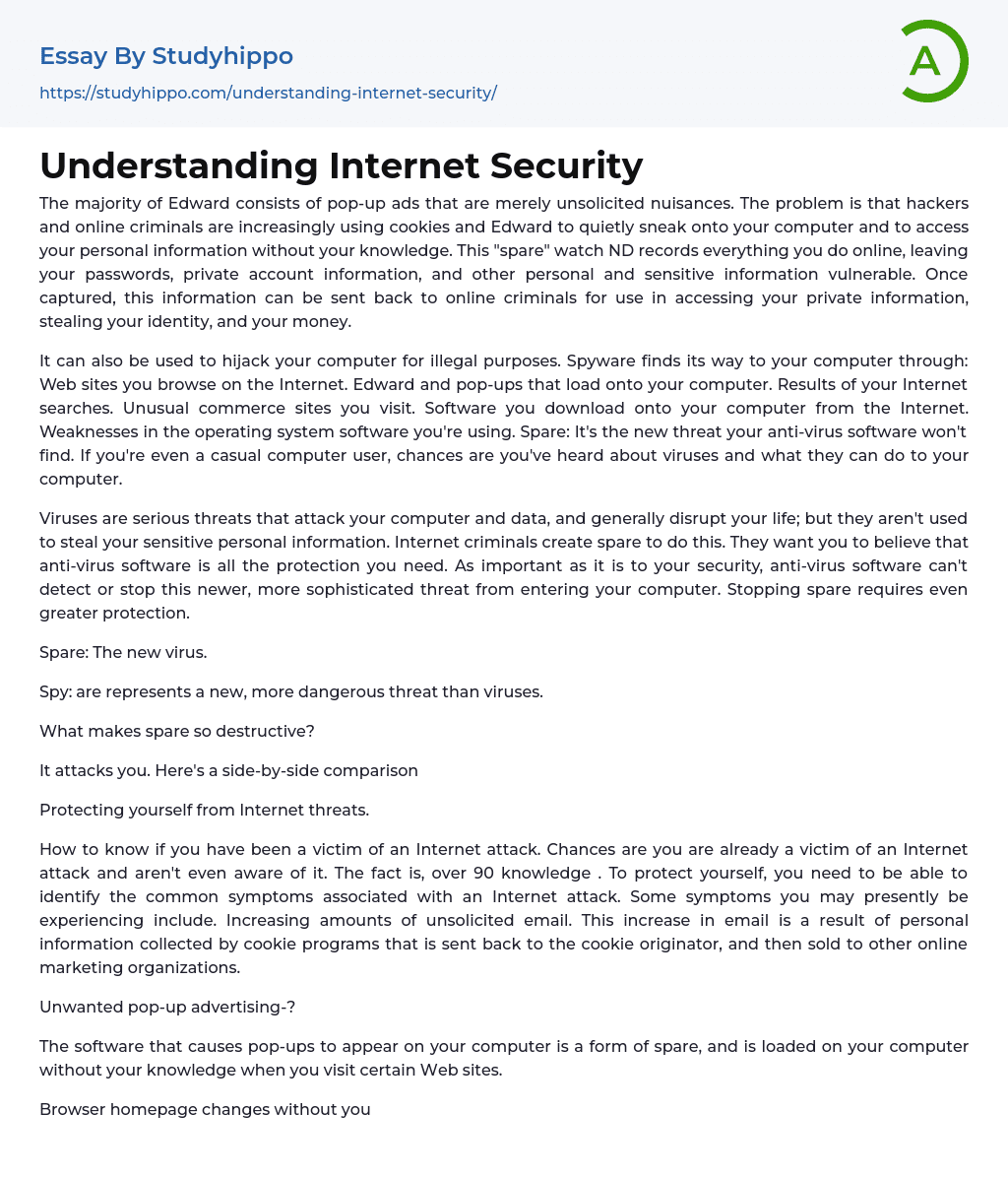 Understanding Internet Security Essay Example