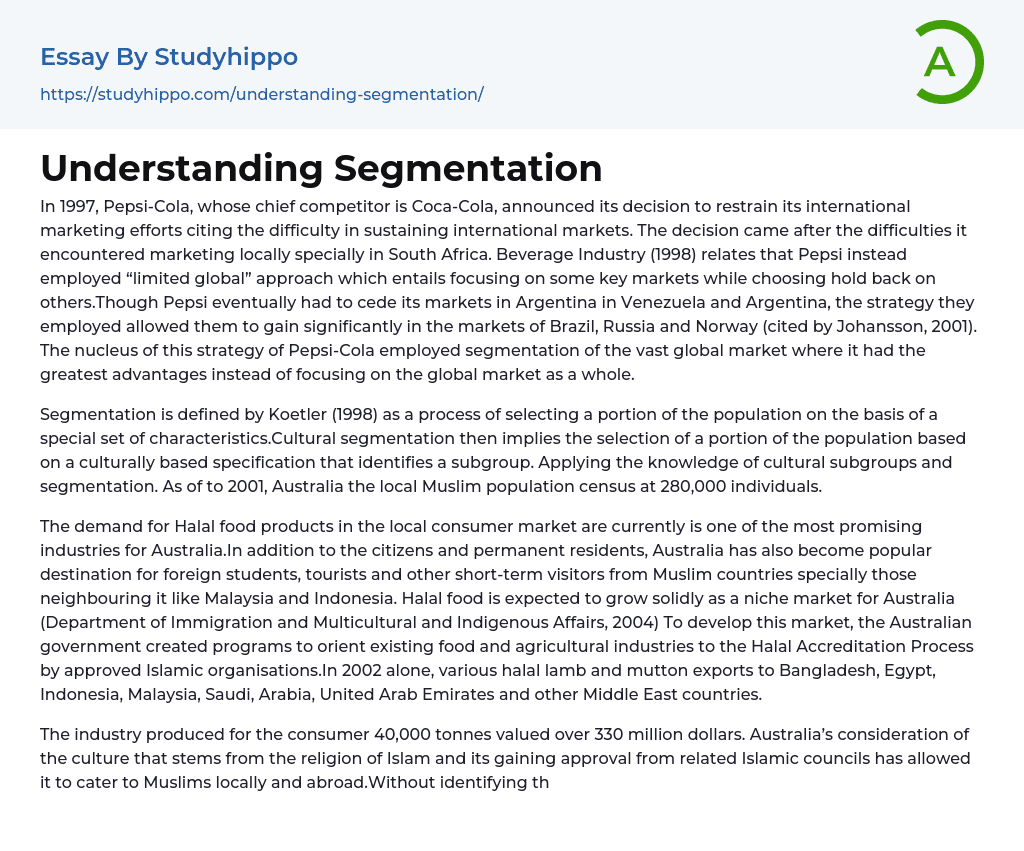Understanding Segmentation Essay Example