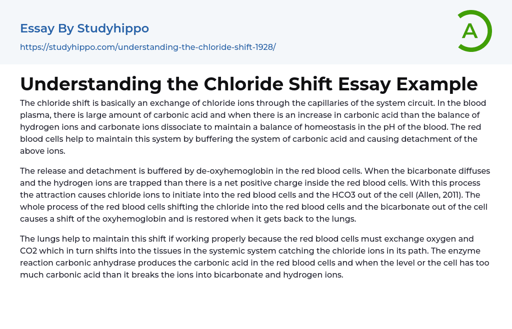 Understanding the Chloride Shift Essay Example