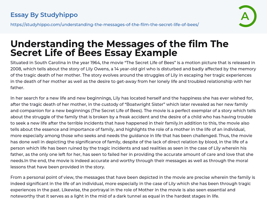 Understanding the Messages of the film The Secret Life of Bees Essay Example