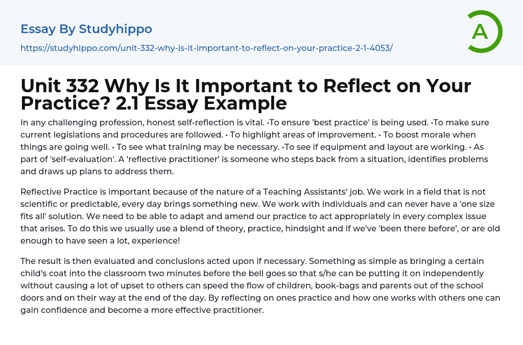 Unit 332 Why Is It Important to Reflect on Your Practice? 2.1 Essay Example