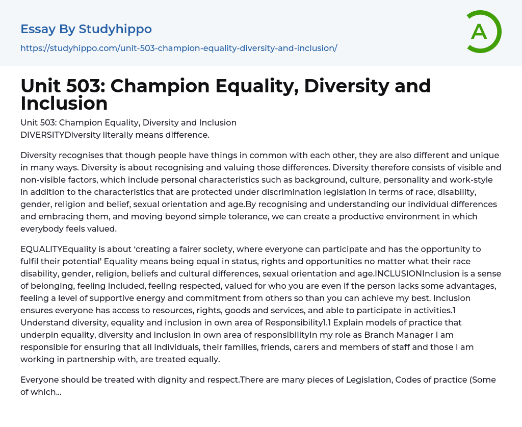 Champion Equality, Diversity and Inclusion Essay Example